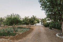 Villa-Deep-Blue76-1500x630-1